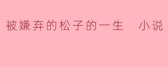 被嫌弃的松子的一生 小说